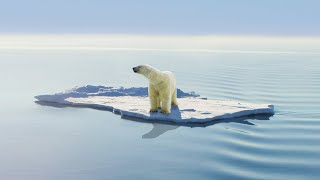 Polar Bear Cub Struggles To Survive It's Shrinking Habitat | Extreme Animal Babies | Real Wild