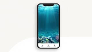 Groundswell   App Explainer Video