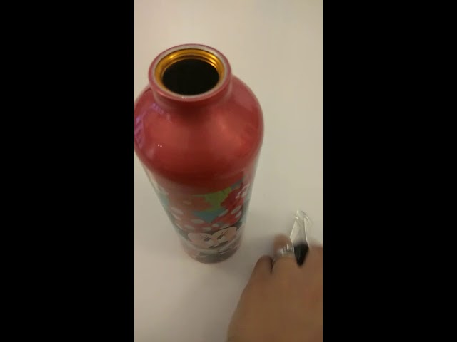 Vídeo relacionado con BOTELLA ALUMINIO INFANTIL 600 ML POKEMON DISTORTION