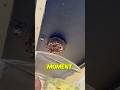 NEVER Do This To A Wasp Nest ️