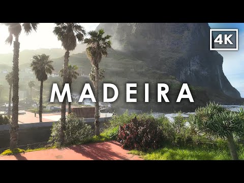 Discover MADEIRA 🇵🇹 | The Hawaii of Europe | 4K Walking Tour in Portugal