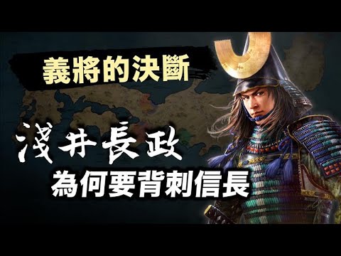 是重情義，還是看利益？淺井長政為何要背刺織田信長？｜【英雄故事書】EP165