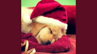 For Unto Us a Child Is Born