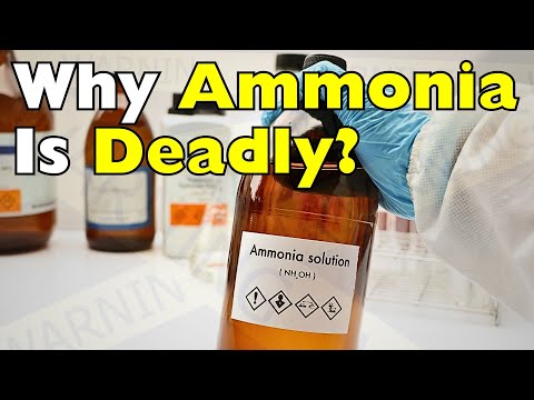 Why Ammonia Can Kill You Faster Than You Think