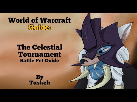 WoW: Celestial Tournament Guide