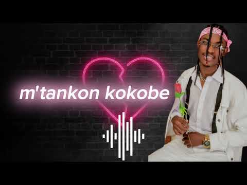 Lil Mayeh feat Steevy boy / Trayizon (official lyrics video)