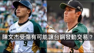 Re: [討論] 台鋼中外野要換誰站?