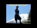 Tokyo To Mt Fuji By Bus The Good The Bad The Ninja