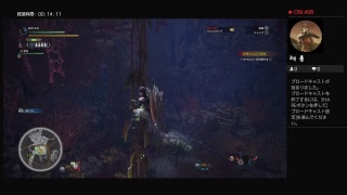 モンハンワールド！ﾊﾞｵｳﾙﾑｰに挑戦！！