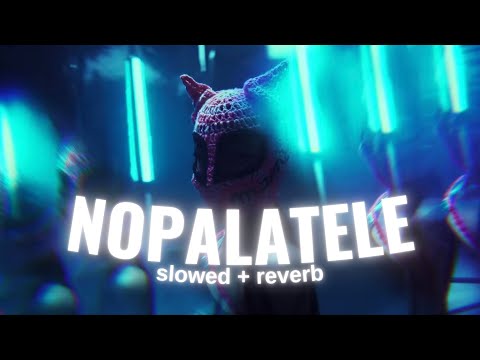 NOPALATELE (slowed + reverb) - King Savagge, Paloma Mami & Ak4:20