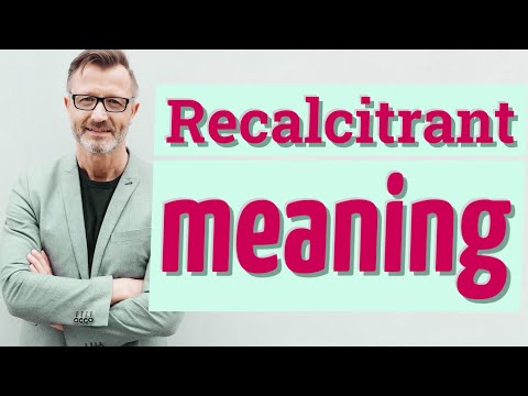 Recalcitrant | Meaning of recalcitrant