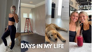 VLOG: the kitchen reno has begun, double date night, my quick makeup routine, Lexie is in town!!