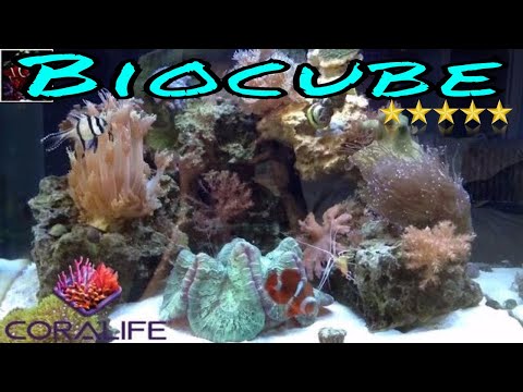 Biocube 29 Gallon Reef Tank