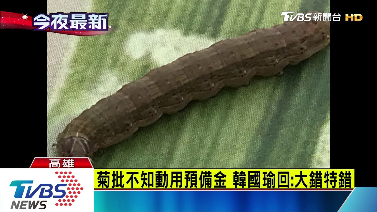 秋行軍蟲入侵高雄 韓國瑜開應變會議