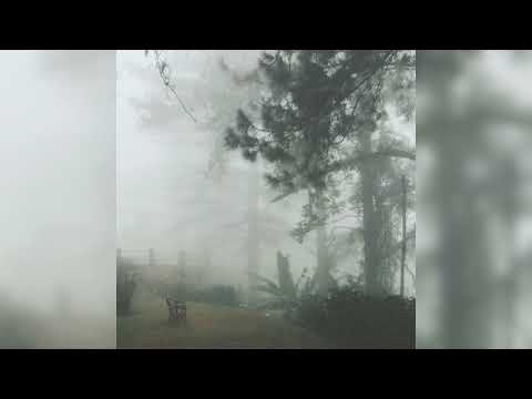 [FREE] CRYSTAL CASTLES x ELECTRONIC MUSIC x SYNTH POP TYPE BEAT - "Sorry"