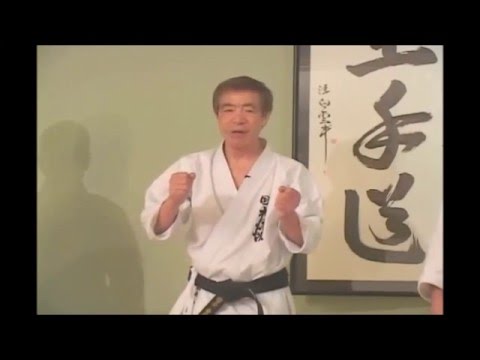Kihon Ippon Kumite