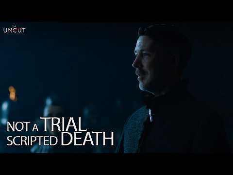 The Trial of Petyr Baelish | Every Hidden Detail You Missed