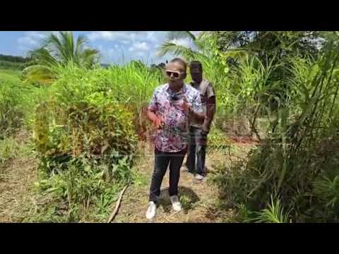 Distraught dad— daughter believed to have been murdered after leaving his home