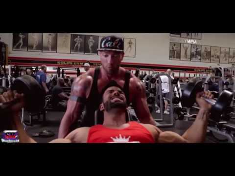 AESTHETIC GENERATION-FITNESS & BODYBUILDING