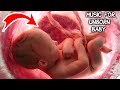 Music for unborn baby |  Brain development | Relax
