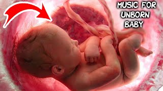 Music for unborn baby |  Brain development | Relax