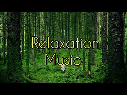 Beautiful Relaxation Music|Piano| °Stress Relief|For Meditation|Hd Nature video|#trending|sleep|