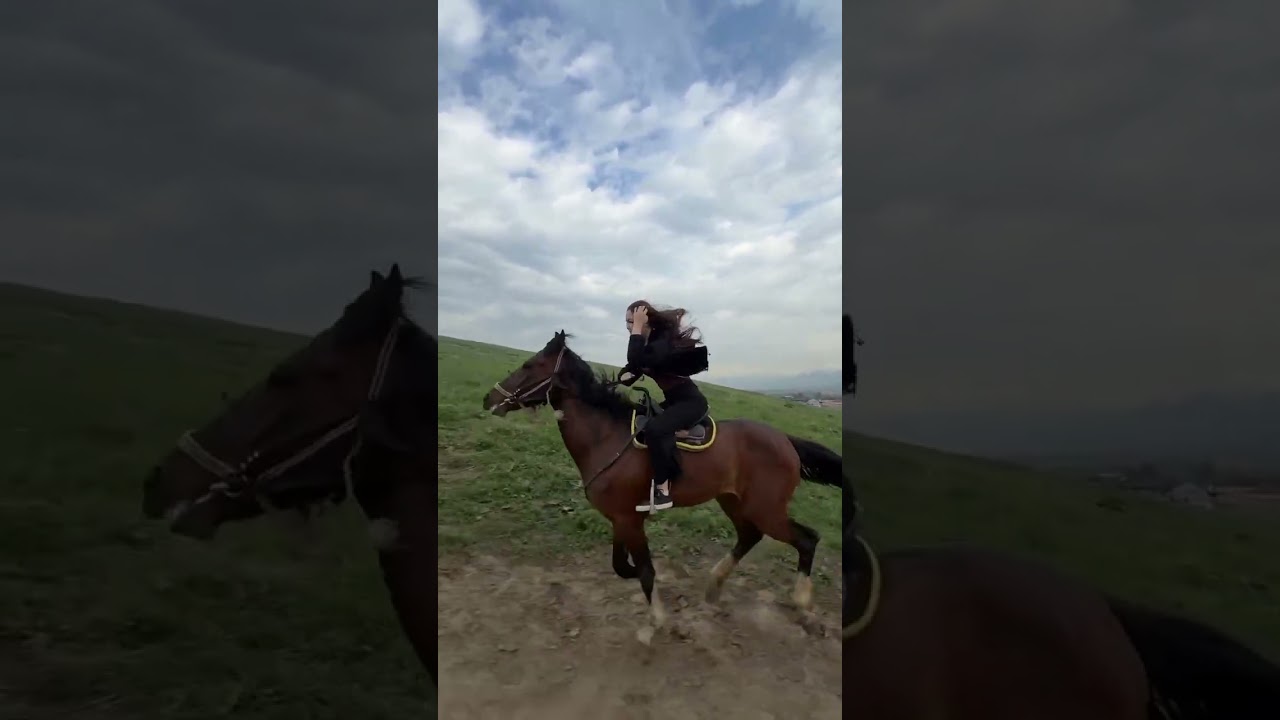 #horse #арабскиелошади #лошадки #лошади #конноеранчо #казахстан #automobile #моялошадь #equestrian
