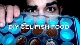 HOW TO: Make DIY Gel Fish Food