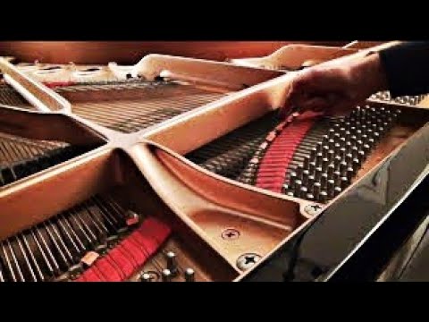Henry Cowell - Aeolian Harp