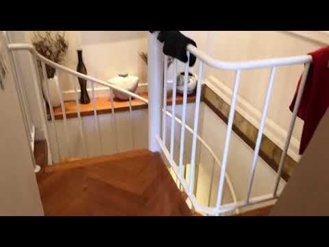 video 1