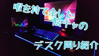 暇を持て余した陰キャのデスク周り紹介