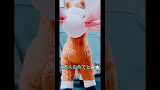 ピア兄CH4万人+3年目おめでとう🐴✨
