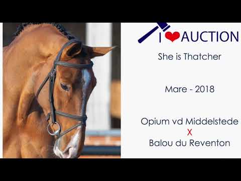 She is Thatcher Jumping