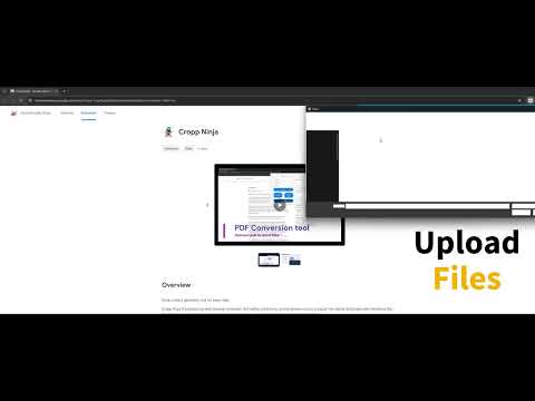 Item video thumbnail