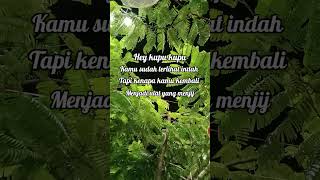 Download lagu qoutes kupu kupu #shorts #story mp3