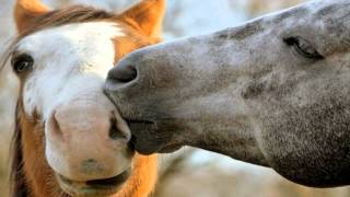 Vanessa Mae - Warm Air (Ennio Morricone)