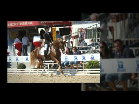 AT Schurf, Bundeschampionat 2013