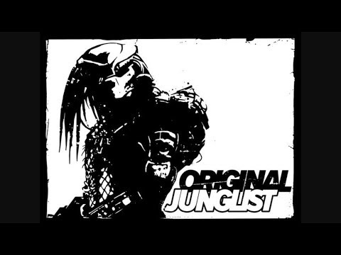 live dnb jam analog digital