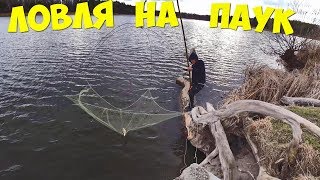 Пауки экраны для рыбалки