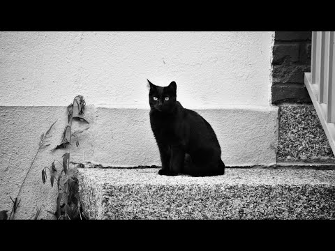 SUJEVERJE KOD SRBA - SERBIKA 011