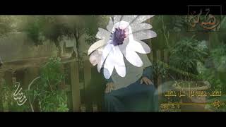 صورة قصة مثل- الحلقة (17) قطعت جهيزة قولَ كلِّ خطيب