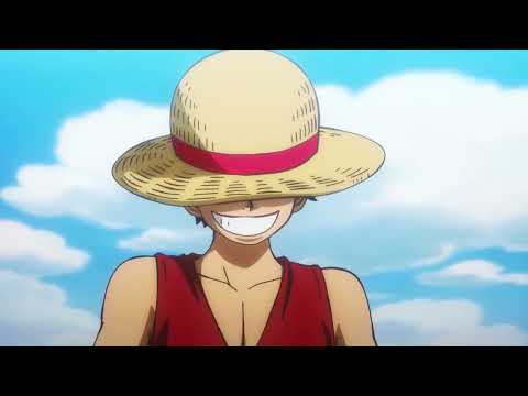 Zoro's Promise to Luffy - One Piece