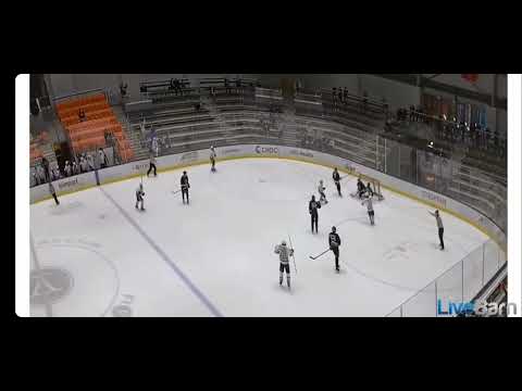 Damien Ice Hockey JV Final 03/05/22