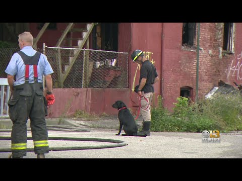 Body Found In Vacant House Fire On East Biddle Street