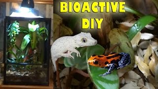 ♢ DIY Bioactive Terrarium♢
