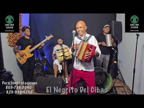 El Negrito Del Cibao “Luz María” En vivo (PARA MUSICÓLOGOS) 