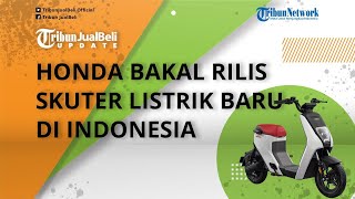 Honda Bakal Luncurkan Skuter Listrik Baru di Indonesia, Diduga U-GO, Dijual Mulai Rp 16 Jutaan
