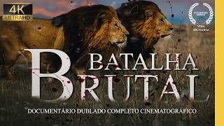 SAVANA AFRICANA | Batalha e Conflitos Mortais: Leões vs. Hienas pela Carcaça | Documentário Animais