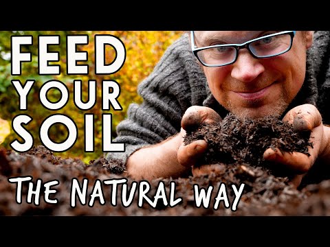YouTube video about Maximize Your Soil's Potential with This Effective Technique