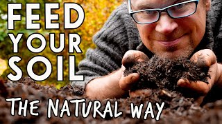 3 Ways to Build Soil Health💛